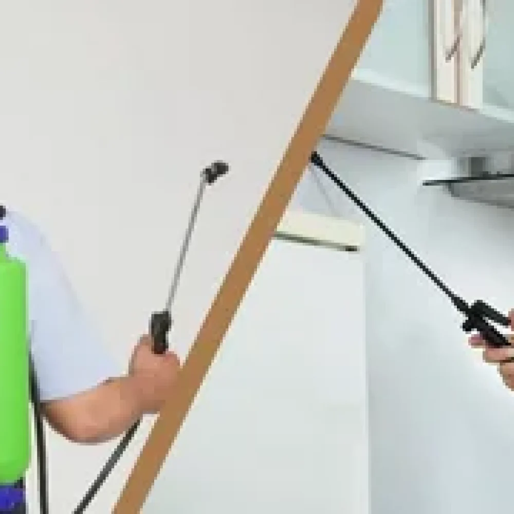i (49) i (49)
